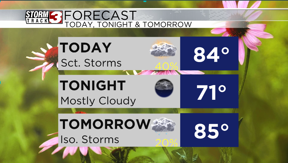 Forecast